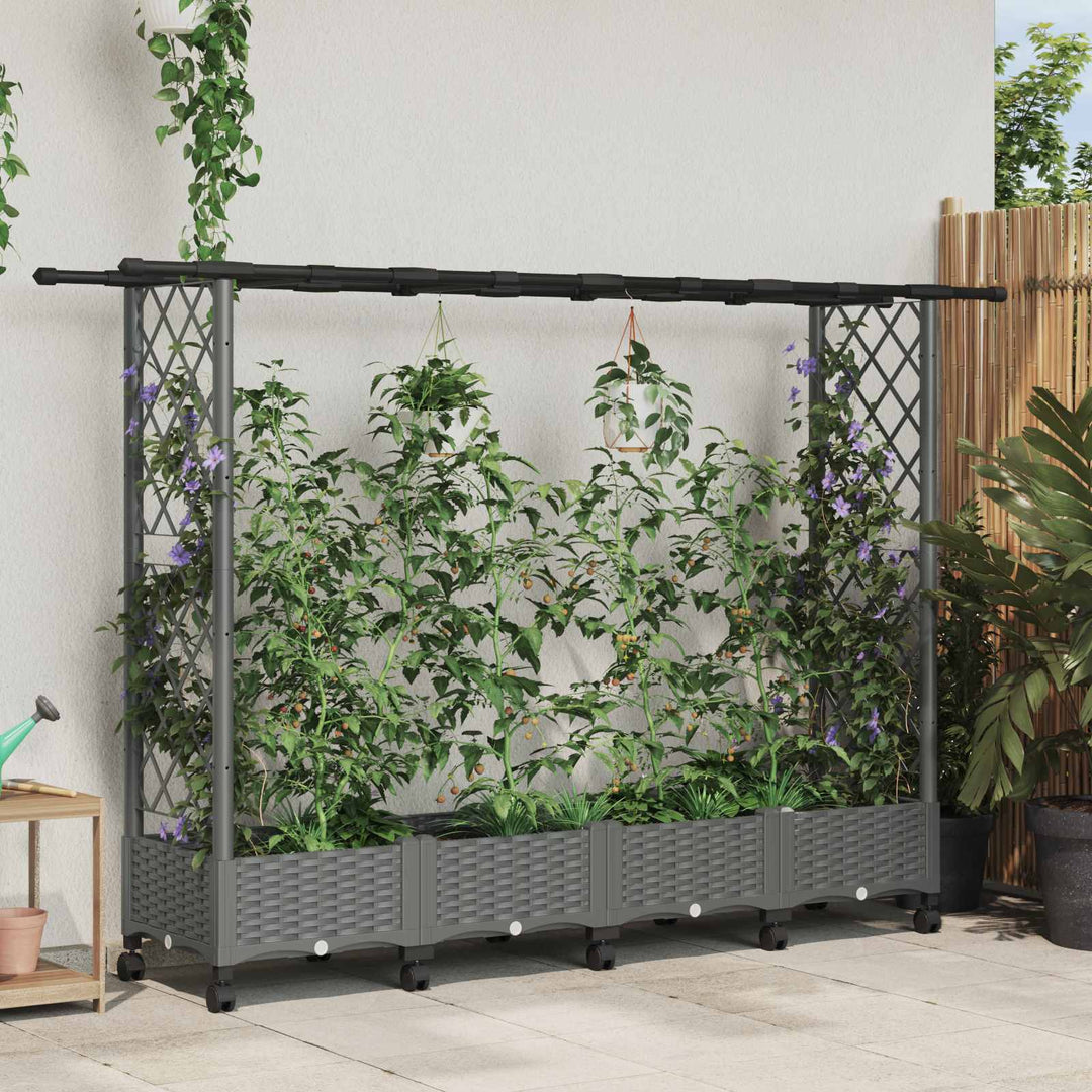 Hævet Bed med Trellis og Tag Lysegrå 203 x 40 x 127 cm PP
