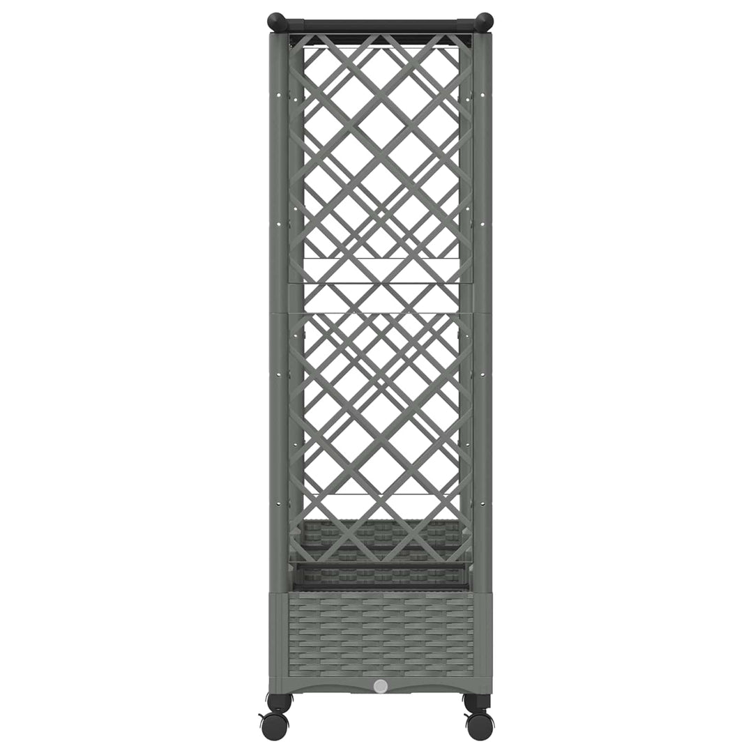 Hævet Bed med Trellis og Tag Lysegrå 203 x 40 x 127 cm PP