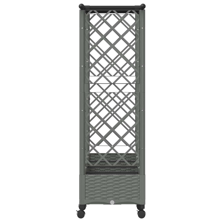 Hævet Bed med Trellis og Tag Lysegrå 203 x 40 x 127 cm PP