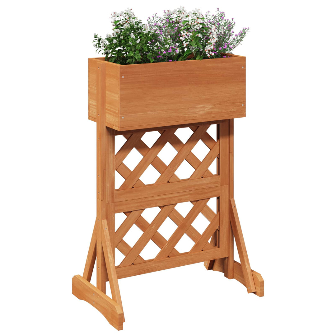 Vertikal have trellis Orange 48 x 30 x 70,5 cm Massivt Fyrretræ