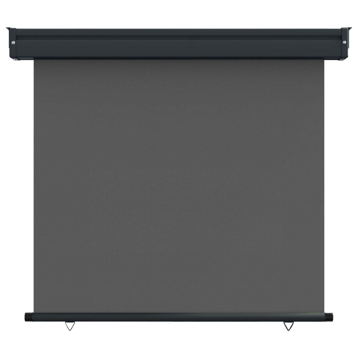 Balkon Sideskærm 80 x 250 cm 100% polyester jern stål Antracit