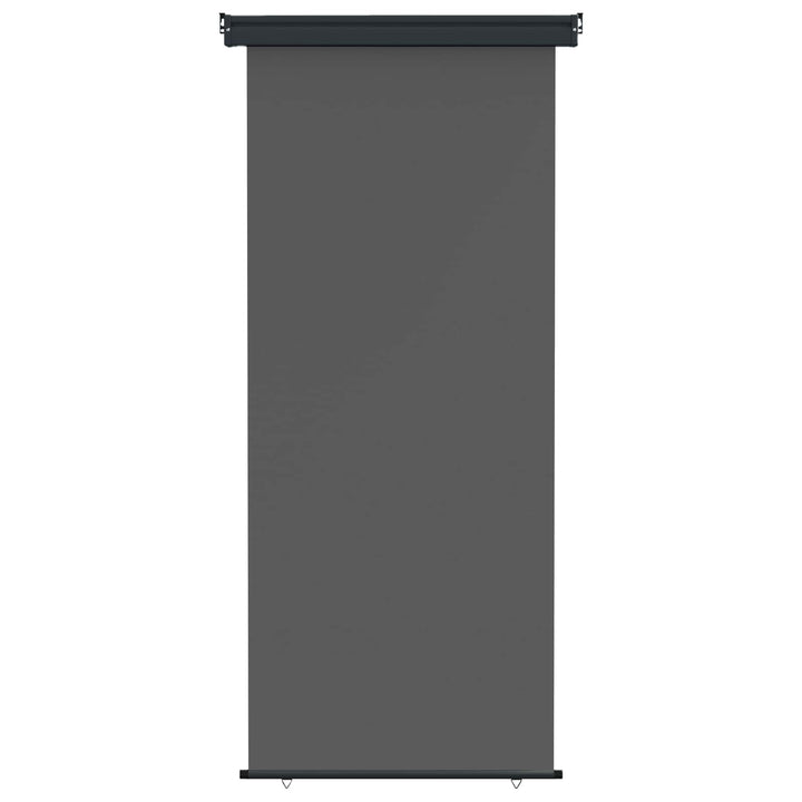 Balkon Sideskærm 100 x 250 cm 100% polyester jern stål Antracit