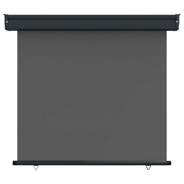 Balkon Sideskærm 100 x 250 cm 100% polyester jern stål Antracit