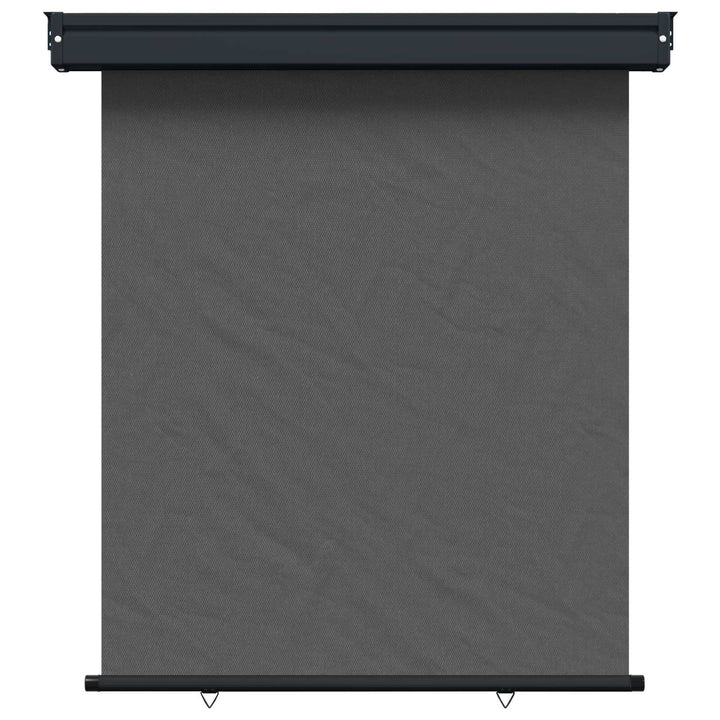 Balkon Sideskærm 117 x 250 cm 100% polyester jern stål Antracit