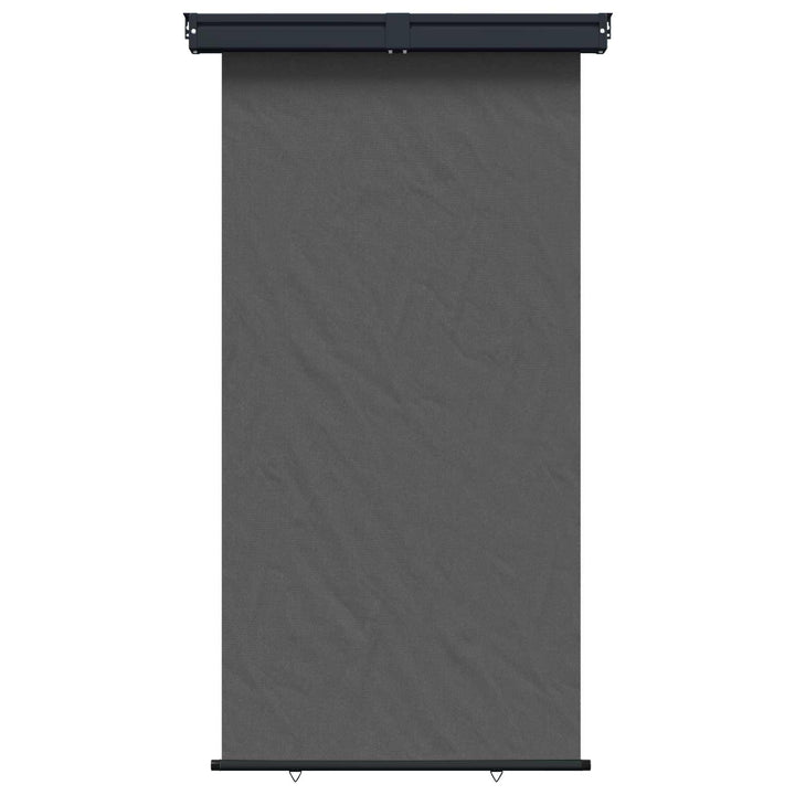 Balkon Sideskærm 160 x 250 cm 100% polyester jern stål Antracit