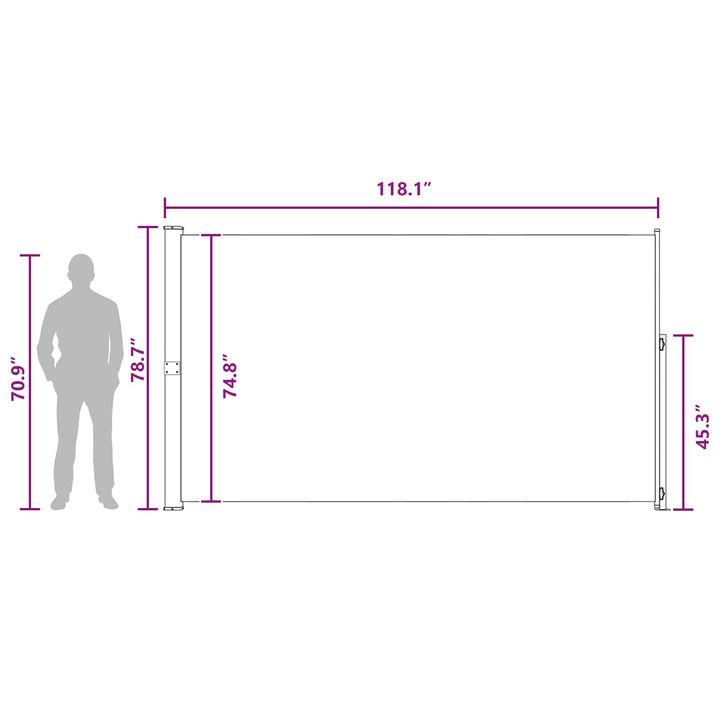 Udtrækkeligt side-markise 200 x 300 cm 100% polyester jern stål