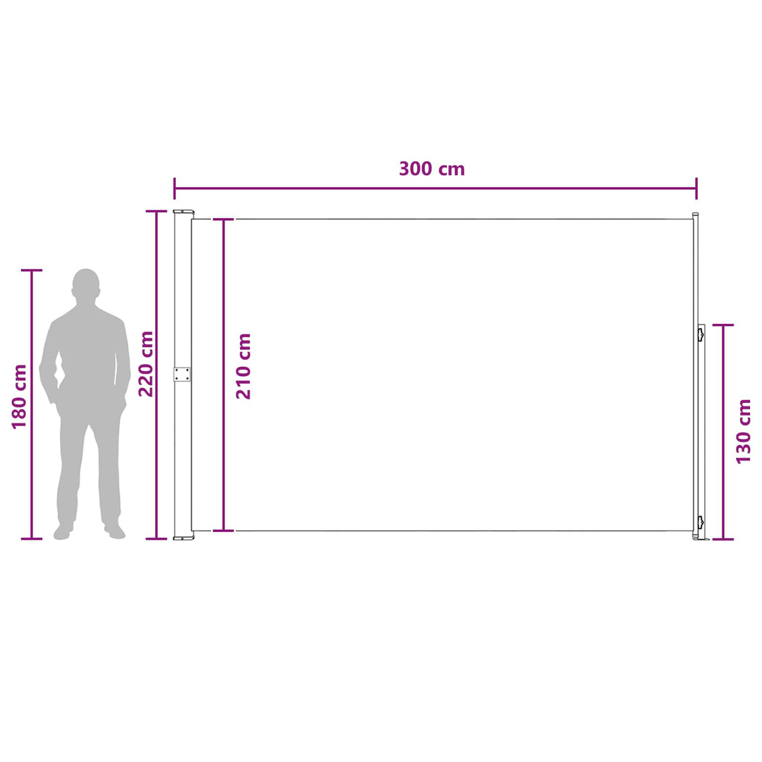 Udtrækkeligt side-markise 220 x 300 cm Polyester Rektangulær