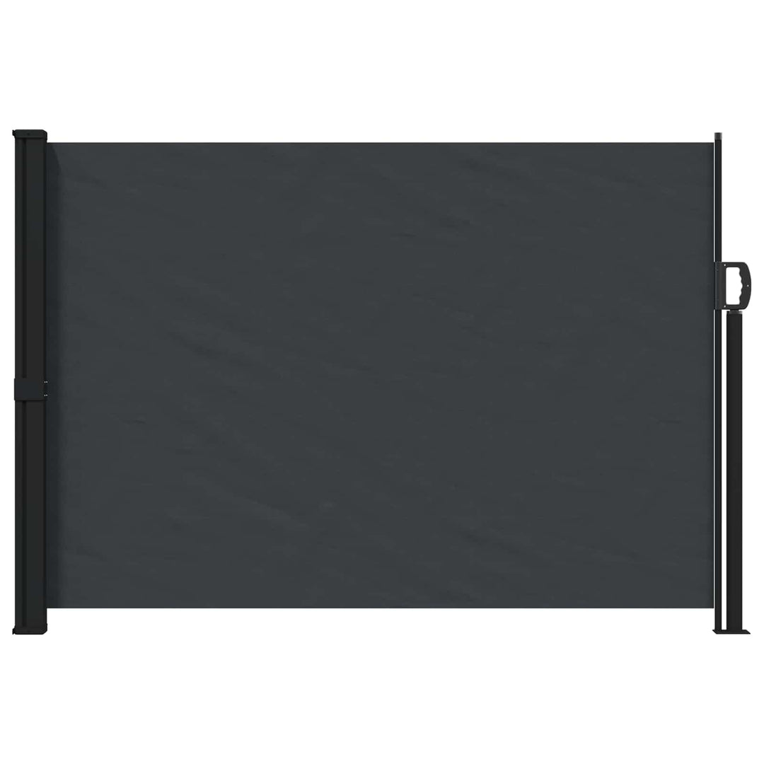 Udtrækkeligt side-markise Sort 300 x 170 cm Polyester