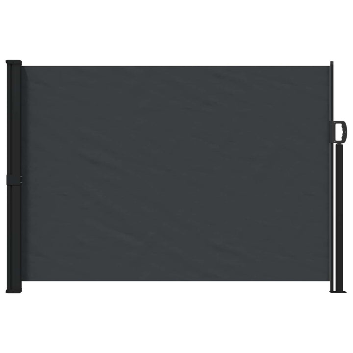 Udtrækkeligt side-markise Sort 300 x 170 cm Polyester