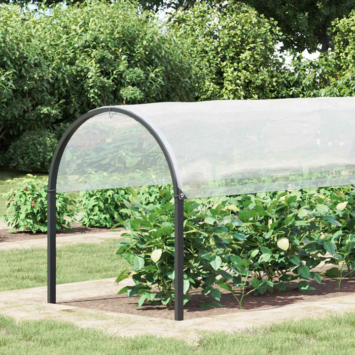 Planteovertræk Transparent 2 x 12 m PE