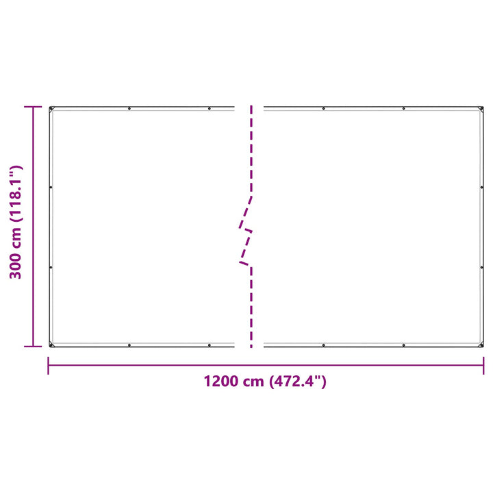 Planteovertræk Transparent 3 x 12 m PE