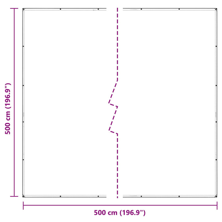 Presenning med øjer Transparent 5 x 5 m Polyethylen