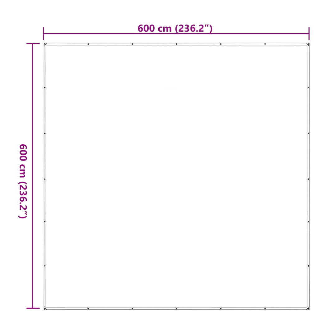 Planteovertræk Transparent 6 x 6 m PE