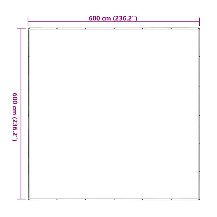 Planteovertræk Transparent 6 x 6 m PE
