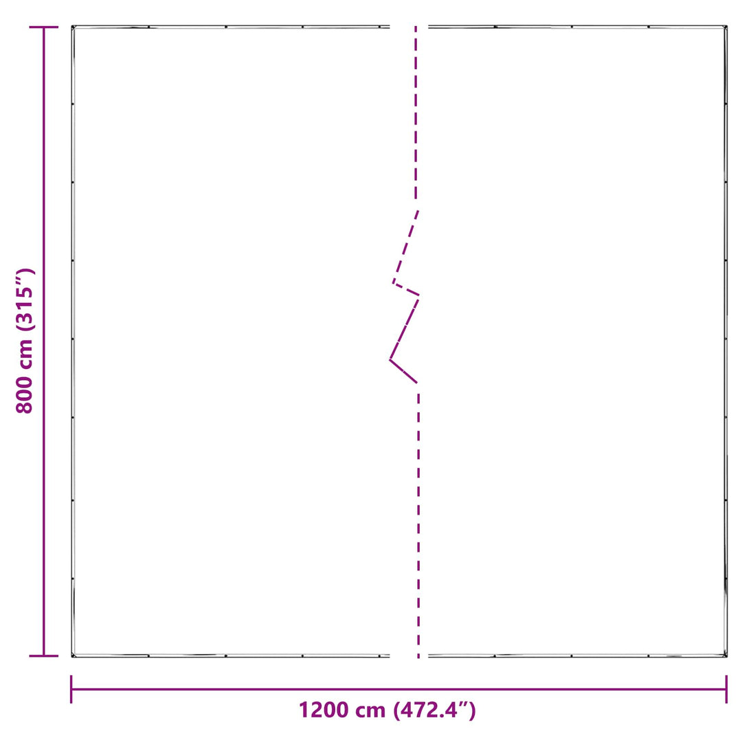 Planteovertræk Transparent 8 x 12 m PE