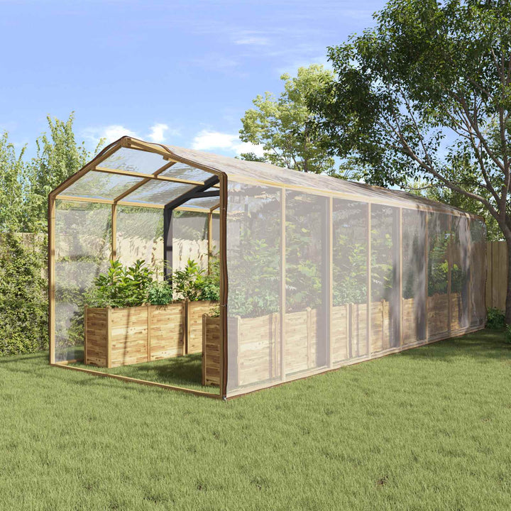 Planteovertræk Transparent 6 x 6 m PE