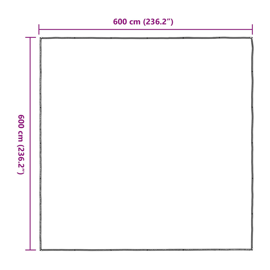 Planteovertræk Transparent 6 x 6 m PE