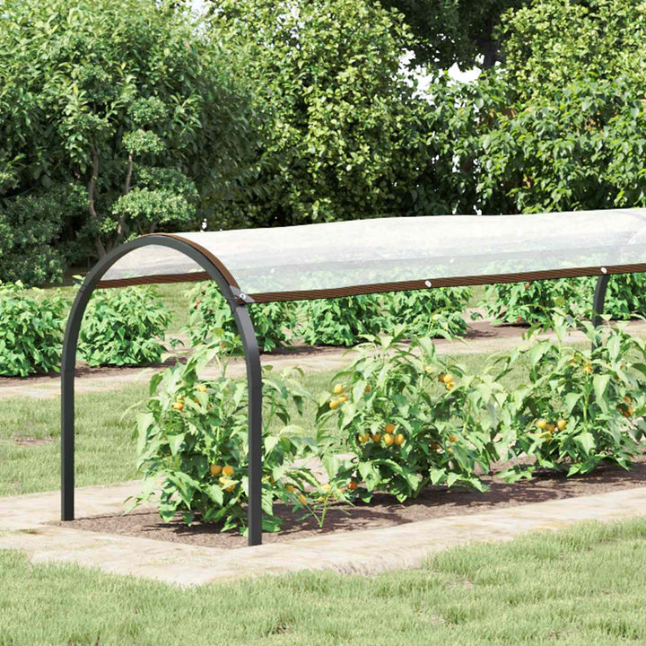 Planteovertræk Transparent 10 x 1,5 m PE