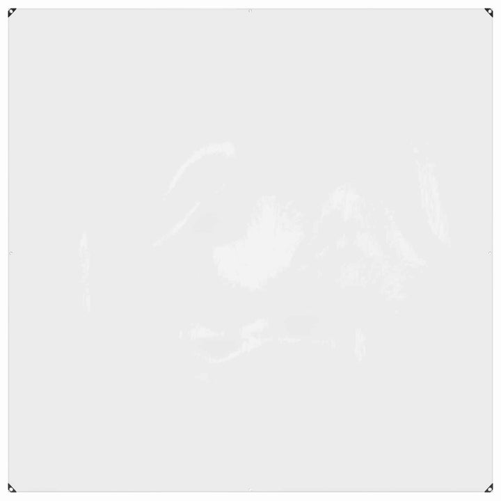 Planteovertræk Transparent 2 x 2 m PVC