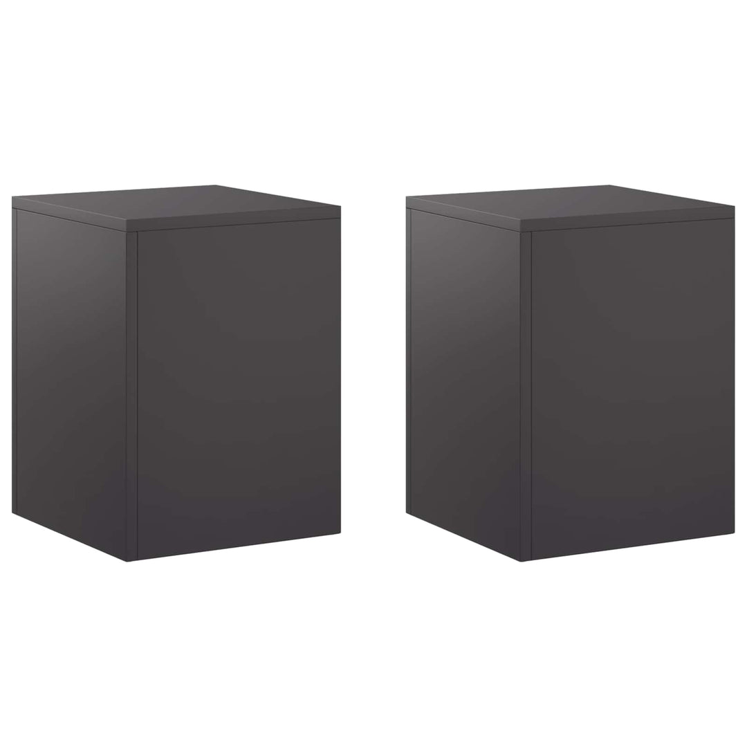 Planteholder 2 pcs Sort 30 x 30 x 40 cm Stål
