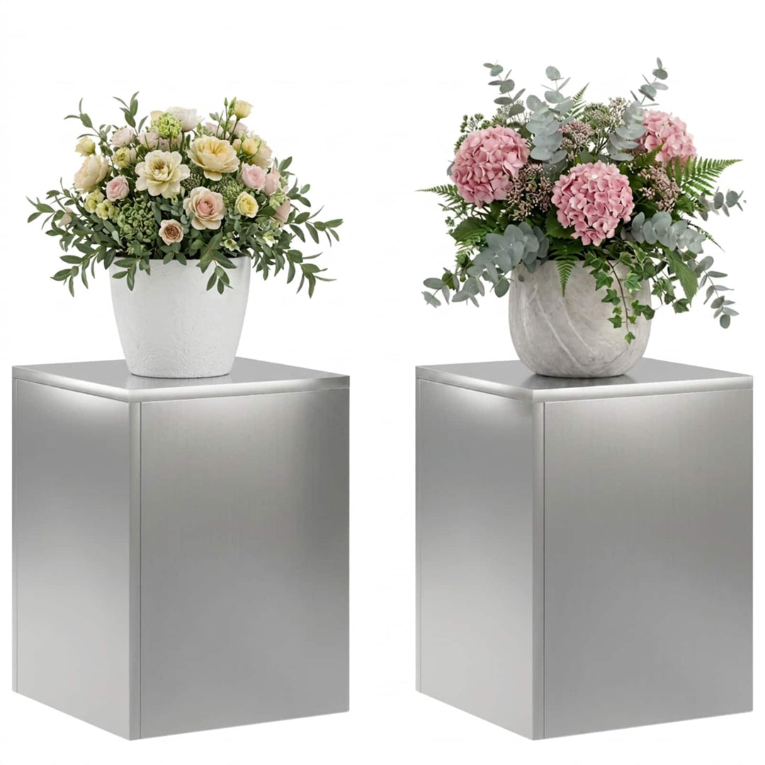 Planteholder 2 pcs Sølv 30 x 30 x 40 cm Rustfrit stål