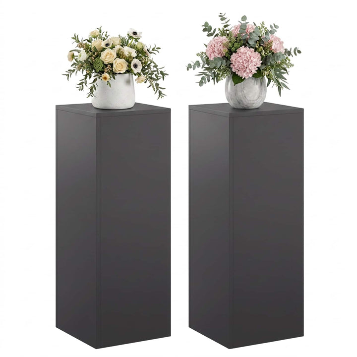 Planteholder 2 pcs Sort 30 x 30 x 80 cm Stål