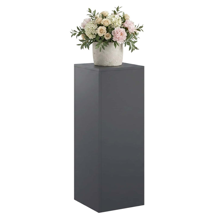 Planteholder Antracit 30 x 30 x 80 cm Rustfrit stål