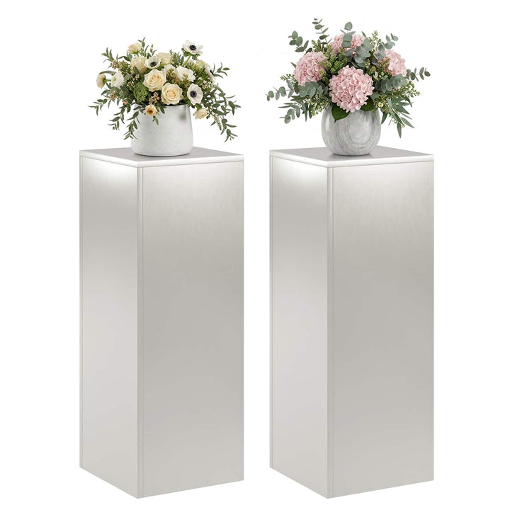 Planteholder 2 pcs Sølv 30 x 30 x 80 cm Stål