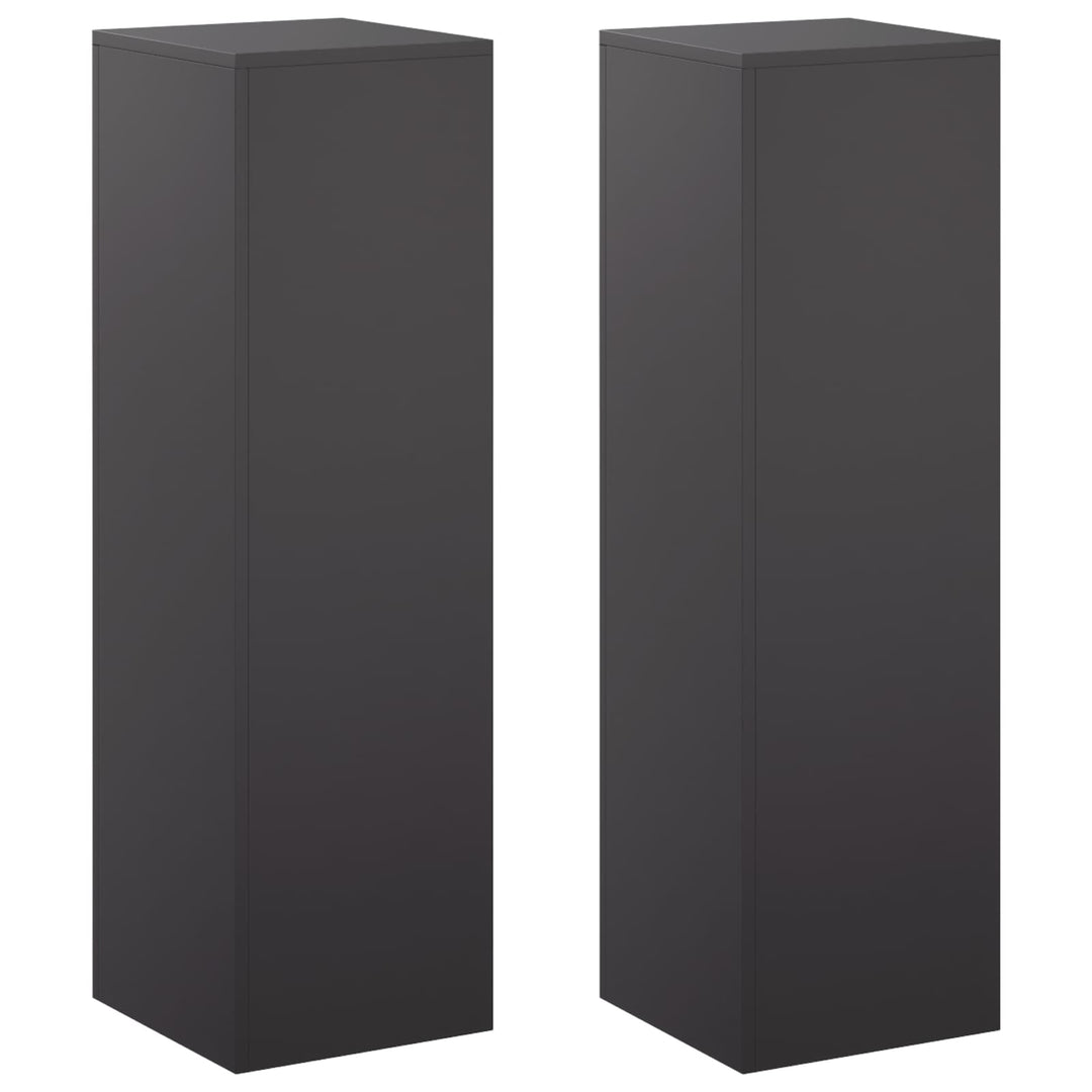 Planteholder 2 pcs Sort 30 x 30 x 100 cm Stål