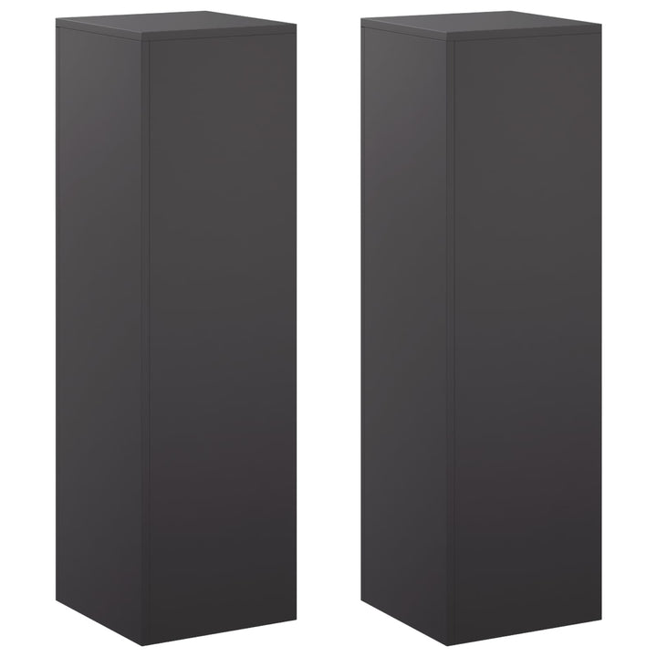 Planteholder 2 pcs Sort 30 x 30 x 100 cm Stål