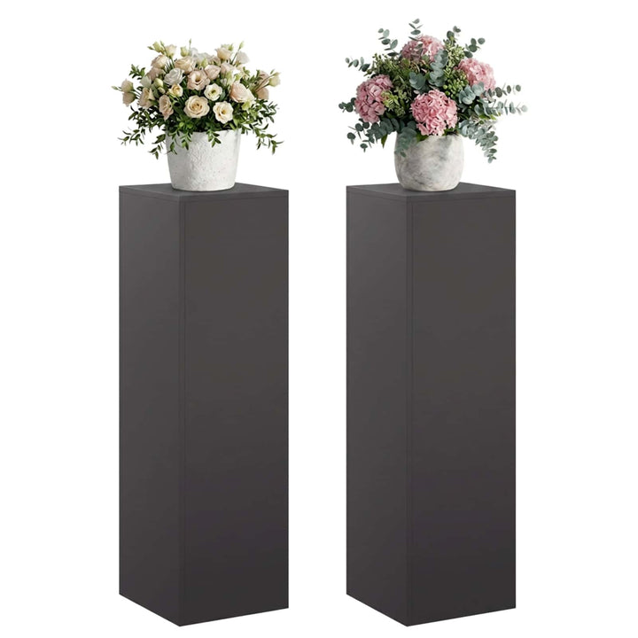 Planteholder 2 pcs Sort 30 x 30 x 100 cm Stål
