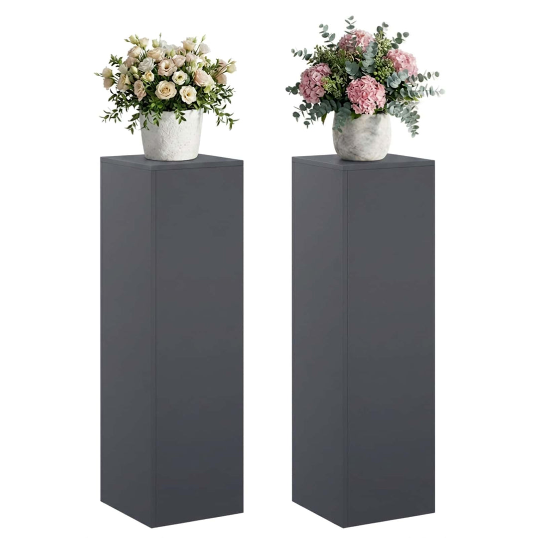 Planteholder 2 pcs Antracit 30 x 30 x 100 cm Galvaniseret stål