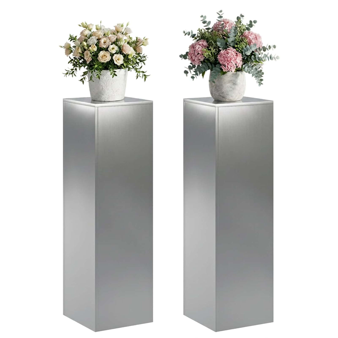Planteholder 2 pcs Sølv 30 x 30 x 100 cm Rustfrit stål
