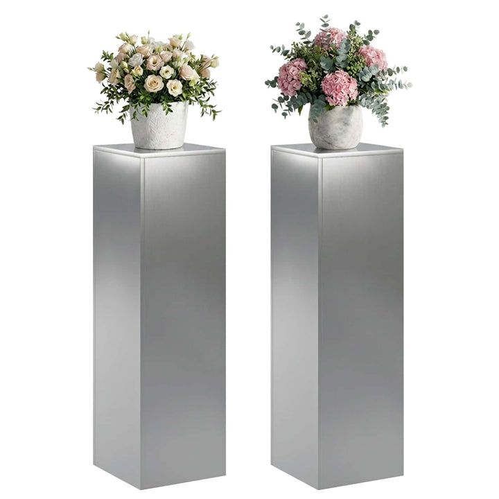 Planteholder 2 pcs Sølv 30 x 30 x 100 cm Rustfrit stål