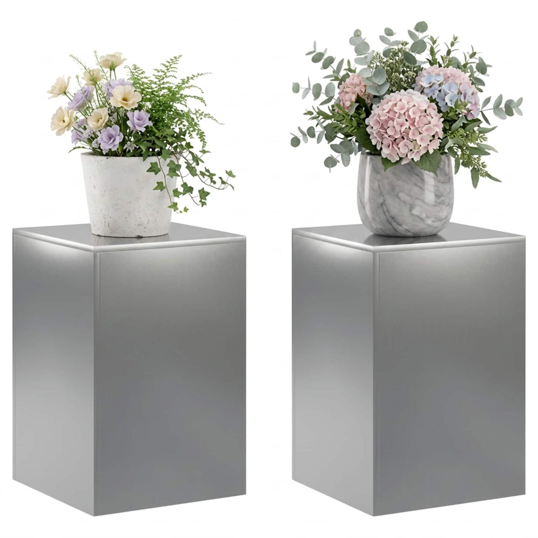 Planteholder 2 pcs Sølv 40 x 40 x 60 cm Rustfrit stål