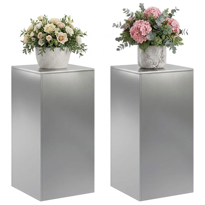 Planteholder 2 pcs Sølv 40 x 40 x 80 cm Rustfrit stål