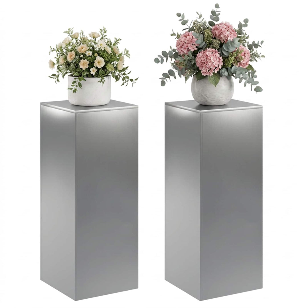 Planteholder 2 pcs Sølv 40 x 40 x 100 cm Rustfrit stål
