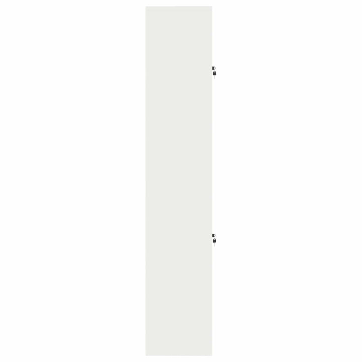 Opbevaringsskab 2 stk. 60 x 40 x 210 cm Stål Låses