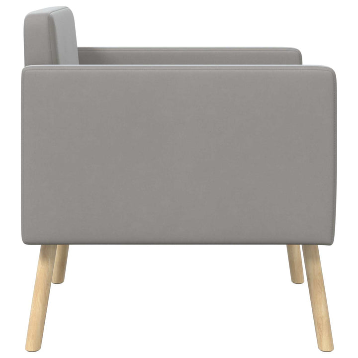 Accentstol Lysegrå Velour