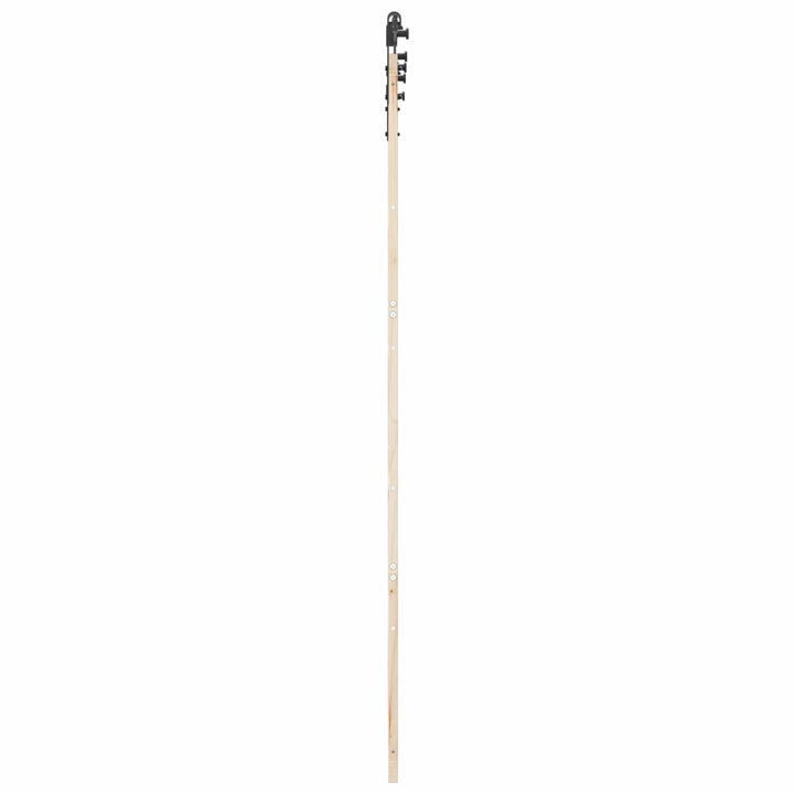 Skydedør Naturfarvet 100 x 208 cm Massivt fyrretræ