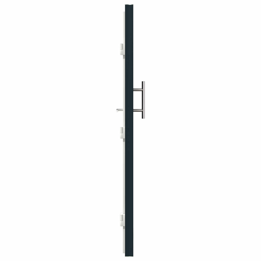 Hoveddør Antracit 108 x 208 cm PVC