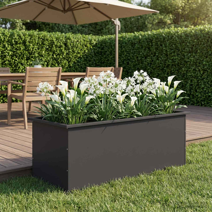 Plantekasse med LED Sort 50 x 100 x 48 cm Stål