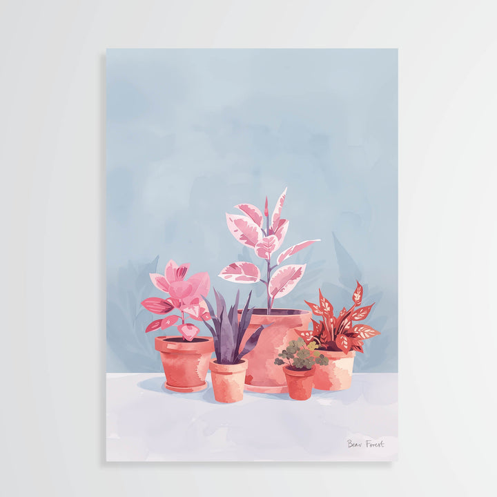 Terracotta Pots 2