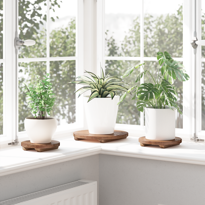 Plante Stool 3 stk. Naturfarvet 29 x 29 x 3,5 cm Mahogni Træ