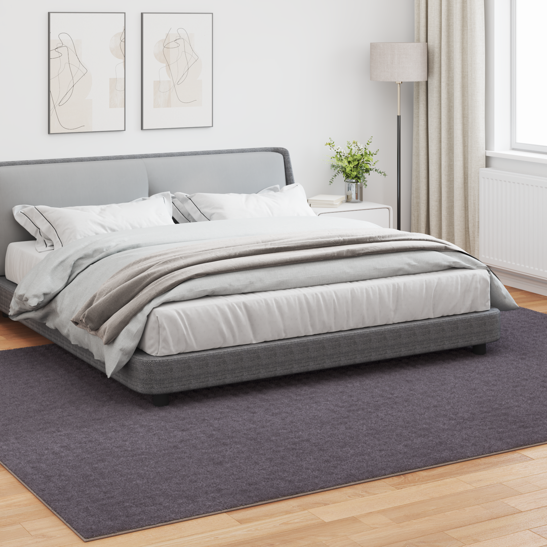 Områdetæpper Rektangulær SIROLO Antracit 280 x 200 cm Polyester