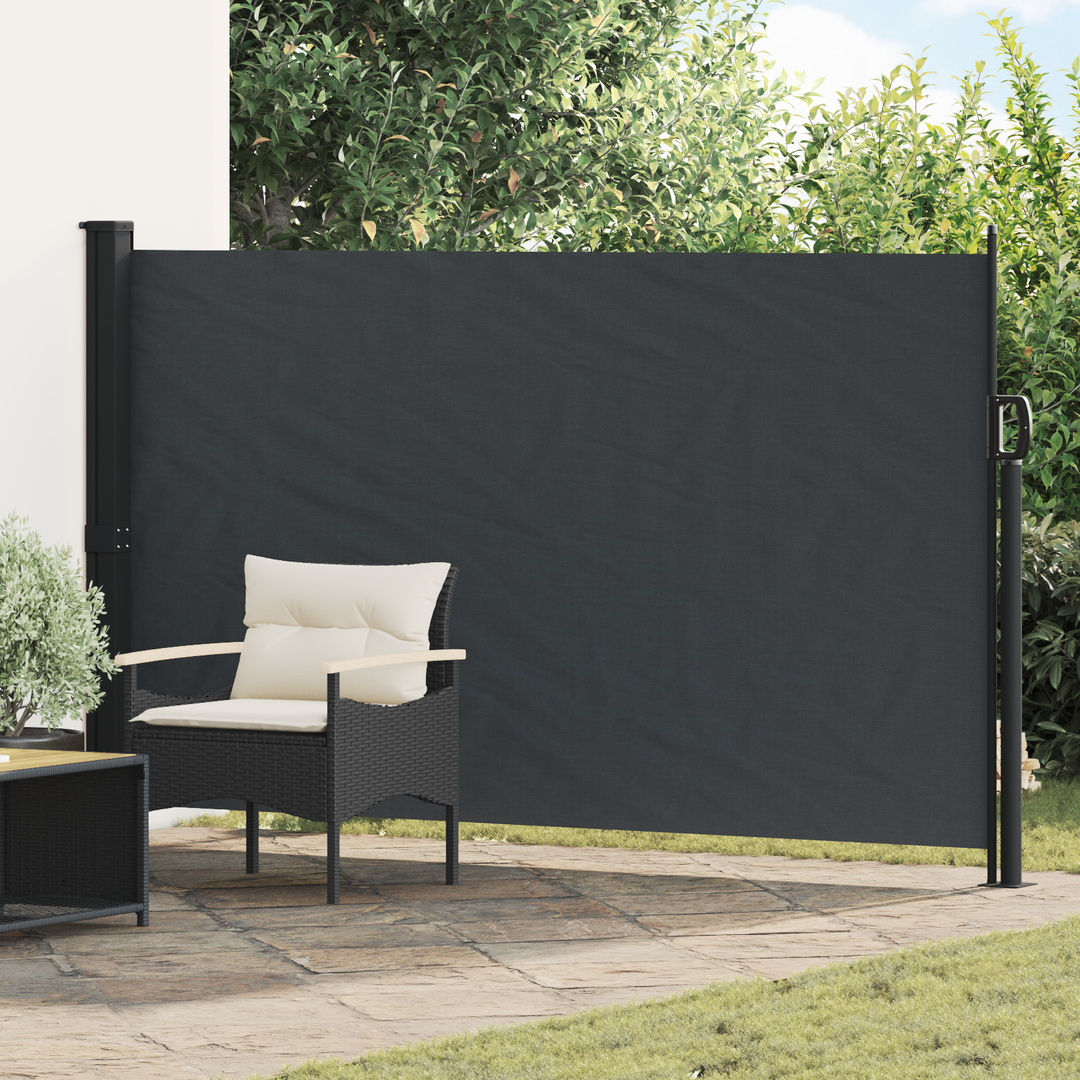 Udtrækkeligt side-markise Sort 300 x 170 cm Polyester