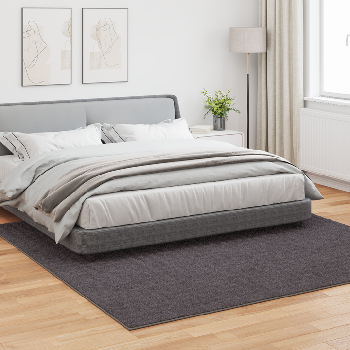 Områdetæpper Firkantet SIROLO Antracit 240 x 240 cm Polyester