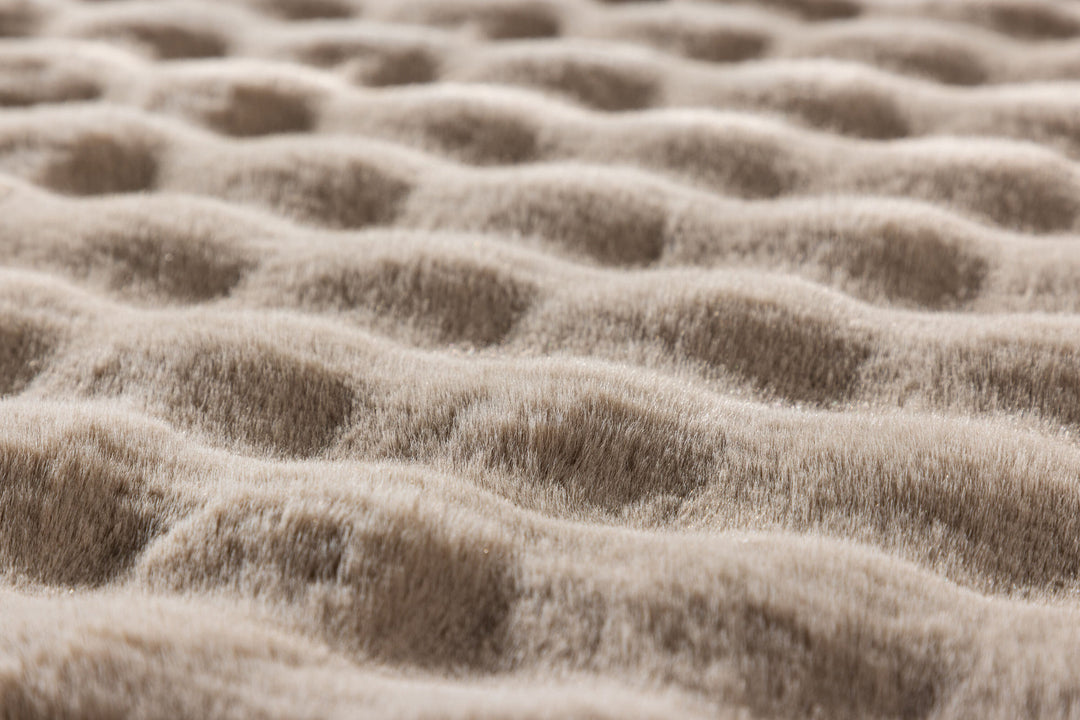 Venture Home Novis 100 % polyester - 200*290-  -Rectangular-Beige