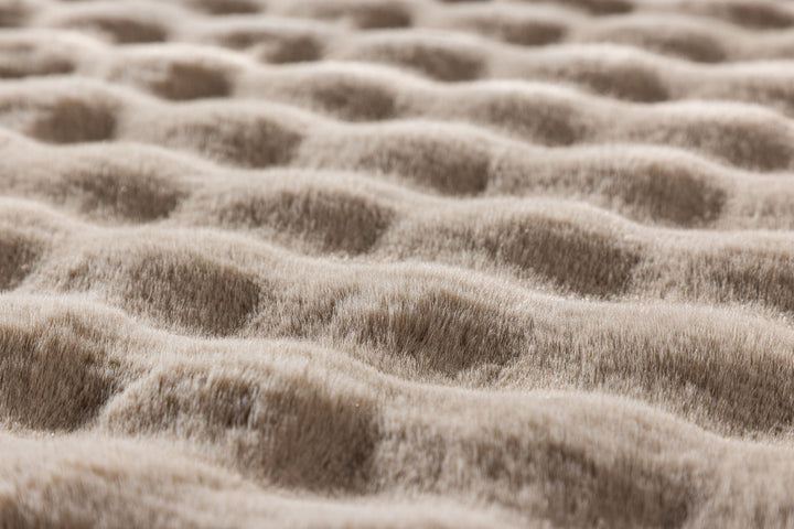 Venture Home Novis 100 % polyester - 200*290-  -Rectangular-Beige
