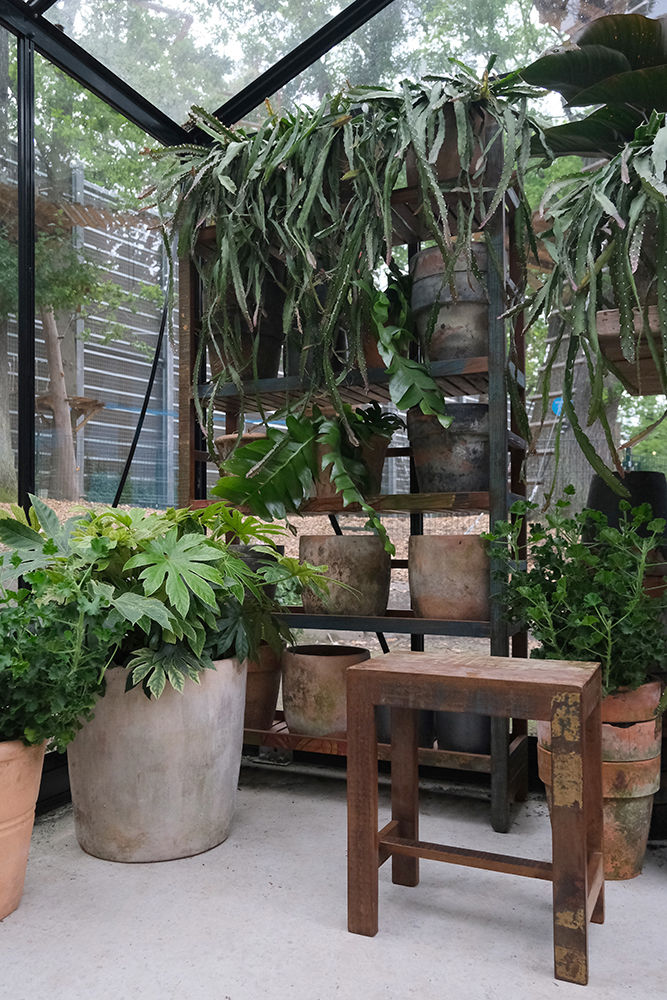 Trademark Living Umut skammel af genbrugstræ